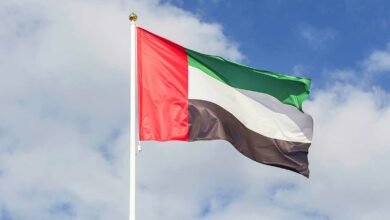صورة الإمارات ترحب بقرار مجلس الأمن بالوقف الفوري لإطلاق النار في غزة
