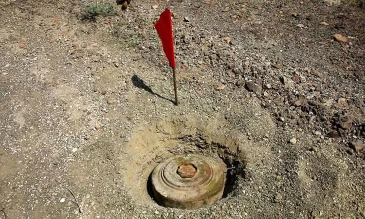 صورة مقتل طفلة بانفجار لغم حوثي جنوب الحديدة اليمنية